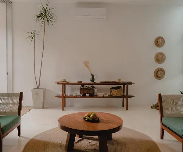Ujo 100 Mb Wifi 2 Private Pools Tulum