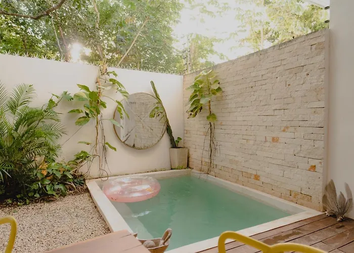 Ujo 100 Mb Wifi 2 Private Pools Tulum