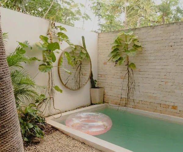 Ujo 100 Mb Wifi 2 Private Pools Tulum