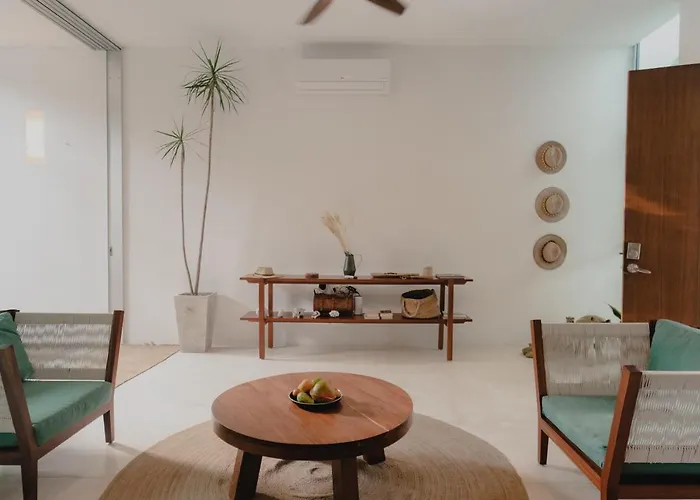 Ujo 100 Mb Wifi 2 Private Pools * Tulum