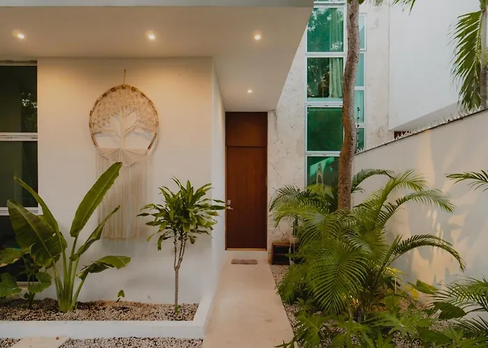 Ujo 100 Mb Wifi 2 Private Pools Tulum