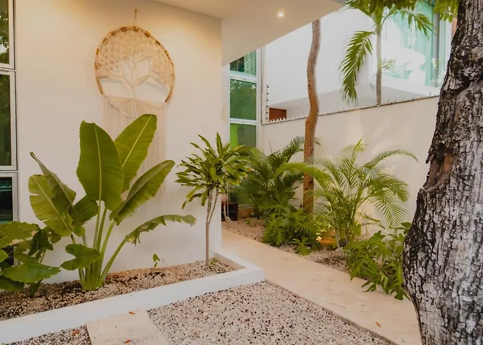Ujo 100 Mb Wifi 2 Private Pools Pousada Tulum