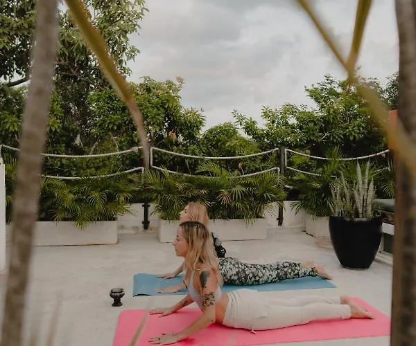 Pousada Ujo 100 Mb Wifi 2 Private Pools Tulum