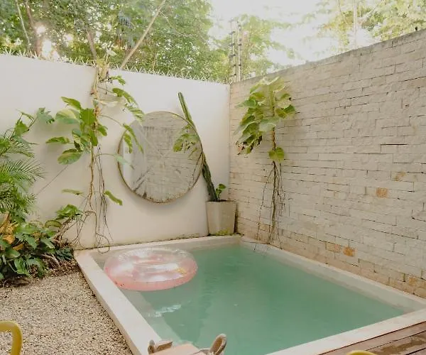Ujo 100 Mb Wifi 2 Private Pools Tulum